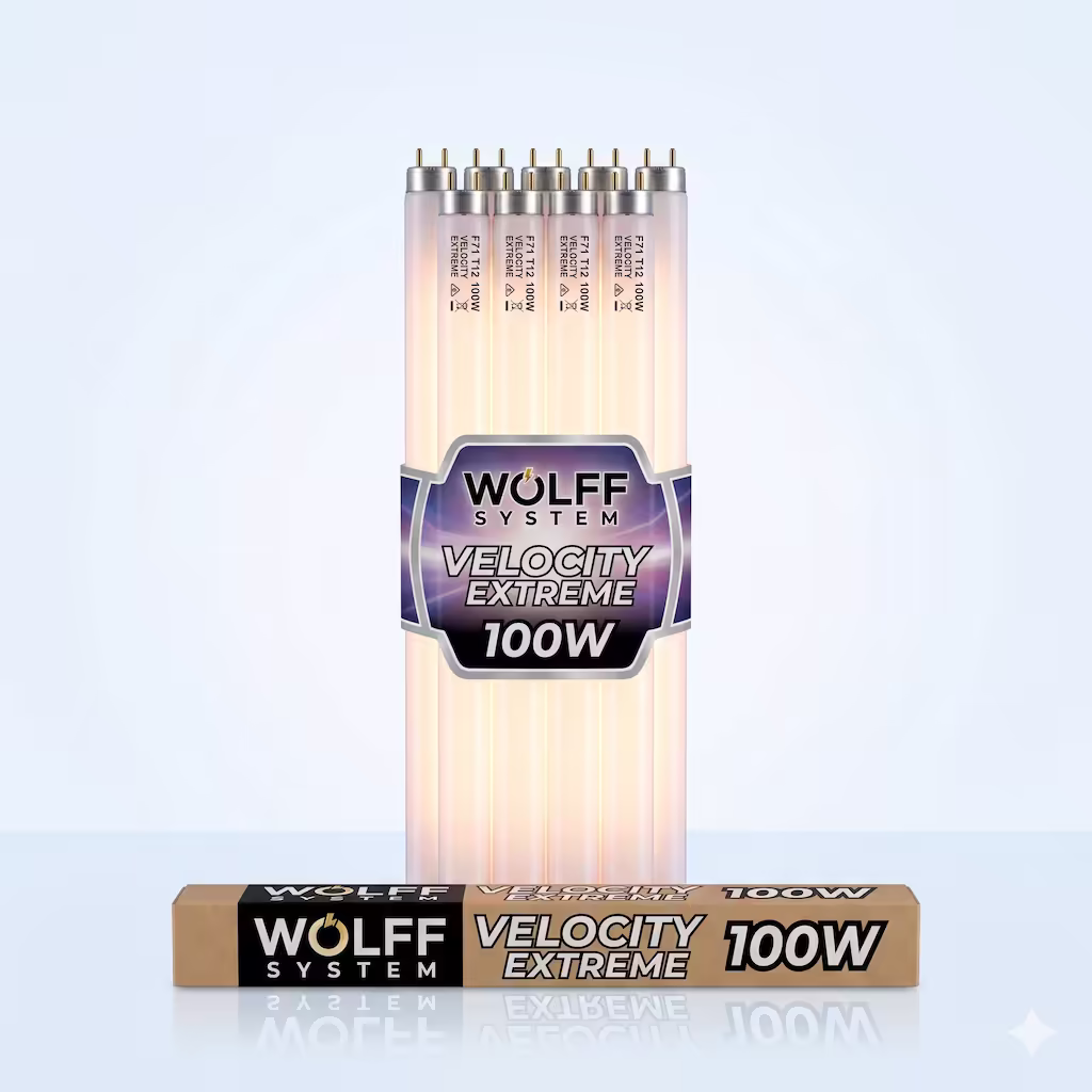 Wolff Velocity Extreme 100W